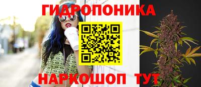 ГАЛЛЮЦИНОГЕННЫЕ ГРИБЫ Среднеуральск