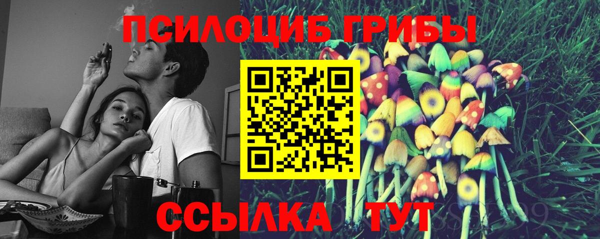 Галлюциногенные грибы Psilocybe  Галлюциногенные грибы ЛСД  Вход с VPN  Новоалександровск 